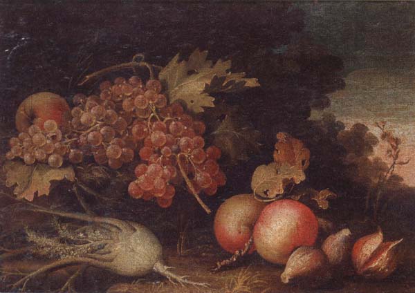 unknow artist Still lifes of Grapes,figs,apples,pears,pomegranates,black currants and fennel,within a landscape setting